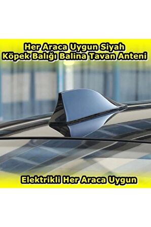 Elektrikli Her Araca Uygun Siyah Shark Köpek Balığı Balina Tavan Anteni E.m.