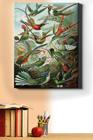 Sayılarla Boyama Seti Kasnaklı Kuşlar 50 X 65 Cm