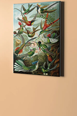 Sayılarla Boyama Seti Kasnaklı Kuşlar 50 X 65 Cm
