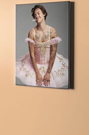 Sayılarla Boyama Seti Kasnaklı Balerin Kıyafetli Harry 60 X 75 Cm