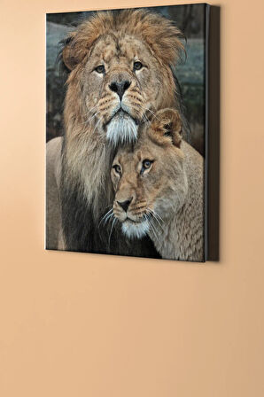 Sayılarla Boyama Seti Kasnaklı Aslanlar 60 X 75 Cm