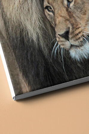 Sayılarla Boyama Seti Kasnaklı Aslanlar 60 X 75 Cm