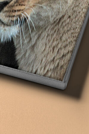 Sayılarla Boyama Seti Kasnaklı Aslanlar 60 X 75 Cm