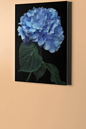Sayılarla Boyama Seti Kasnaklı Mavi Ortanca 40 X 50 Cm