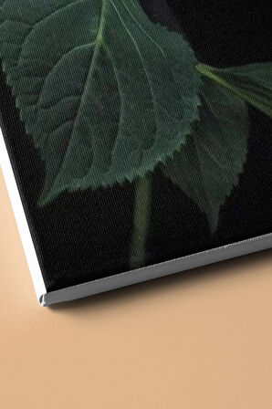 Sayılarla Boyama Seti Kasnaklı Mavi Ortanca 60 X 75 Cm