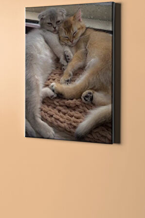 Sayılarla Boyama Seti Kasnaklı Iki Yavru Kedi 50 X 65 Cm
