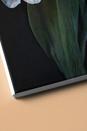 Sayılarla Boyama Seti Kasnaklı Nilüfer 60 X 75 Cm