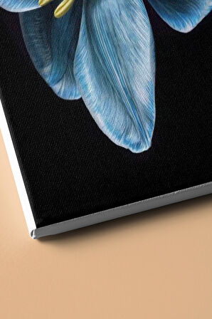 Sayılarla Boyama Seti Kasnaklı Nilüfer 2 60 X 75 Cm