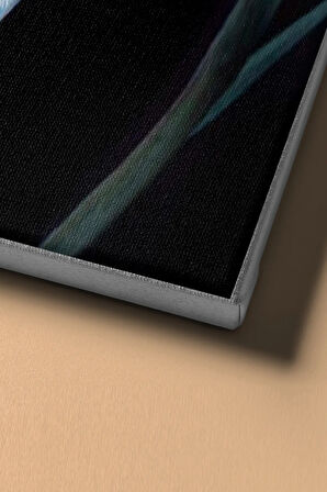 Sayılarla Boyama Seti Kasnaklı Nilüfer 2 60 X 75 Cm