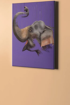 Sayılarla Boyama Seti Kasnaklı Neşeli Fil 60 X 75 Cm