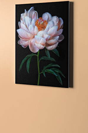 Sayılarla Boyama Seti Kasnaklı Beyaz Şakayık 50 X 65 Cm