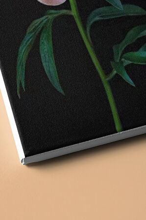 Sayılarla Boyama Seti Kasnaklı Beyaz Şakayık 50 X 65 Cm