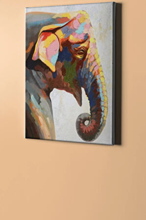Sayılarla Boyama Seti Kasnaklı Hint Fili 40 X 50 Cm