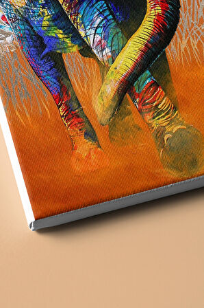 Sayılarla Boyama Seti Kasnaklı Afrika Fili 50 X 65 Cm