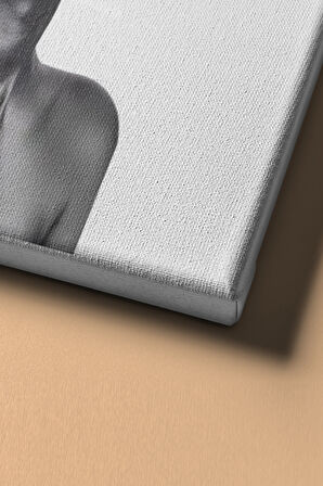 Sayılarla Boyama Seti Kasnaklı Çiçek Kadın 10 60 X 75 Cm