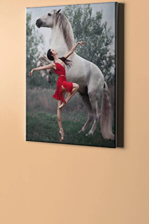 Sayılarla Boyama Seti Kasnaklı Balerin Ve Beyaz At 50 X 65 Cm