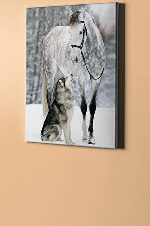 Sayılarla Boyama Seti Kasnaklı Benekli At Ve Kurt 50 X 65 Cm