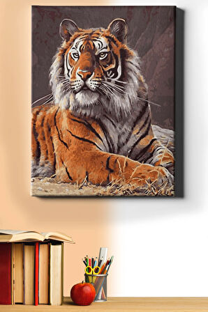 Sayılarla Boyama Seti Kasnaklı Kaplan Bakış 60 X 75 Cm