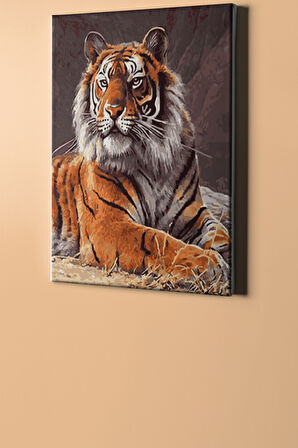 Sayılarla Boyama Seti Kasnaklı Kaplan Bakış 60 X 75 Cm