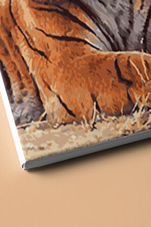 Sayılarla Boyama Seti Kasnaklı Kaplan Bakış 60 X 75 Cm