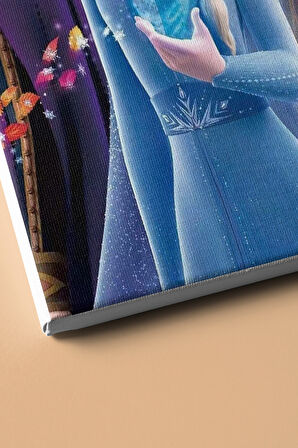 Sayılarla Boyama Seti Kasnaklı Elsa 50 X 65 Cm