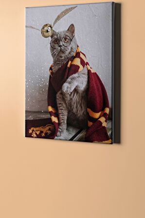 Sayılarla Boyama Seti Kasnaklı Harry Kedi 60 X 75 Cm