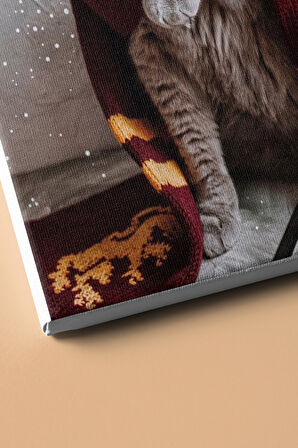 Sayılarla Boyama Seti Kasnaklı Harry Kedi 60 X 75 Cm