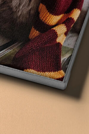 Sayılarla Boyama Seti Kasnaklı Harry Kedi 60 X 75 Cm