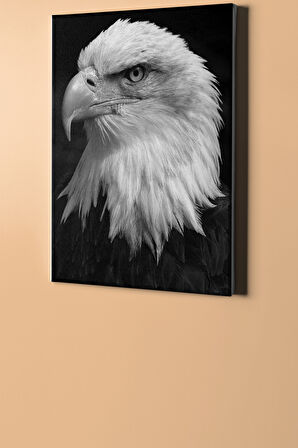 Sayılarla Boyama Seti Kasnaklı Beyaz Kartal 40 X 50 Cm