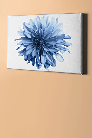 Sayılarla Boyama Seti Kasnaklı Beyaz Krizantem 60 X 75 Cm