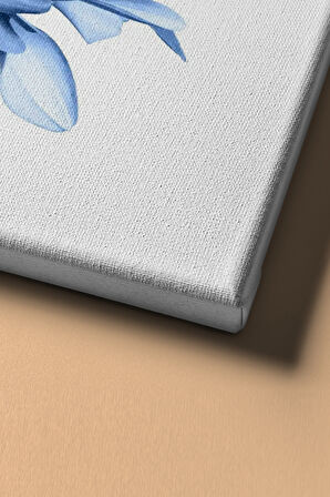 Sayılarla Boyama Seti Kasnaklı Beyaz Krizantem 60 X 75 Cm