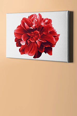 Sayılarla Boyama Seti Kasnaklı Yıldız Çiçeği 40 X 50 Cm