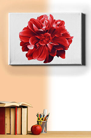 Sayılarla Boyama Seti Kasnaklı Yıldız Çiçeği 60 X 75 Cm