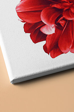 Sayılarla Boyama Seti Kasnaklı Yıldız Çiçeği 60 X 75 Cm