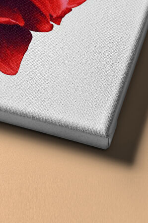 Sayılarla Boyama Seti Kasnaklı Yıldız Çiçeği 60 X 75 Cm