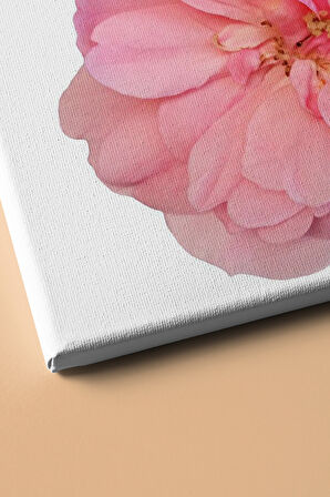 Sayılarla Boyama Seti Kasnaklı Pembe Gül 40 X 50 Cm