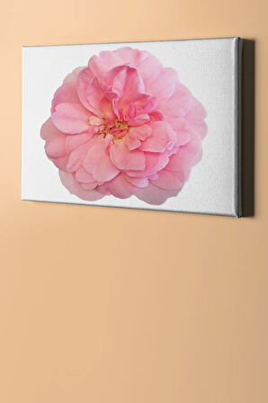 Sayılarla Boyama Seti Kasnaklı Pembe Gül 60 X 75 Cm