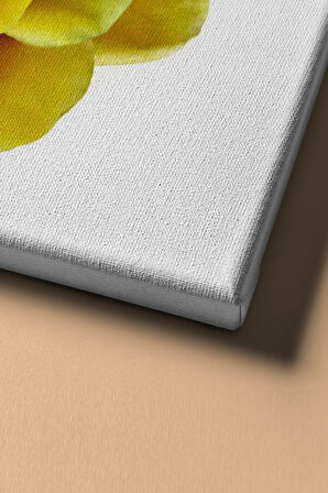 Sayılarla Boyama Seti Kasnaklı Sarı Gül 50 X 65 Cm