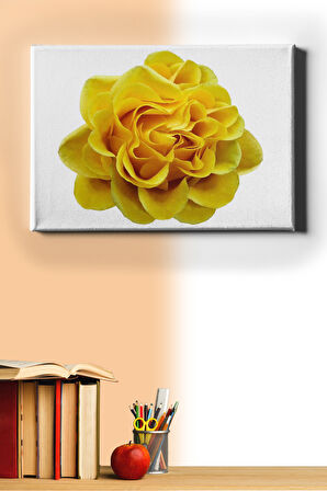 Sayılarla Boyama Seti Kasnaklı Sarı Gül 60 X 75 Cm