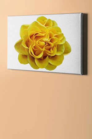 Sayılarla Boyama Seti Kasnaklı Sarı Gül 60 X 75 Cm