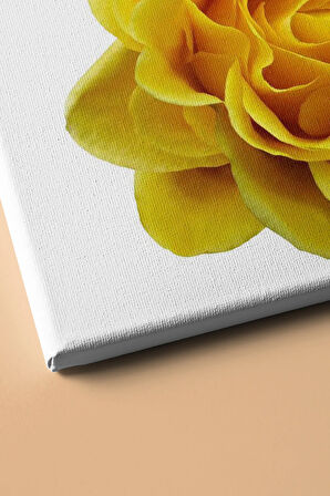 Sayılarla Boyama Seti Kasnaklı Sarı Gül 60 X 75 Cm