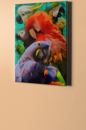 Sayılarla Boyama Seti Kasnaklı Papağanlar 40 X 50 Cm