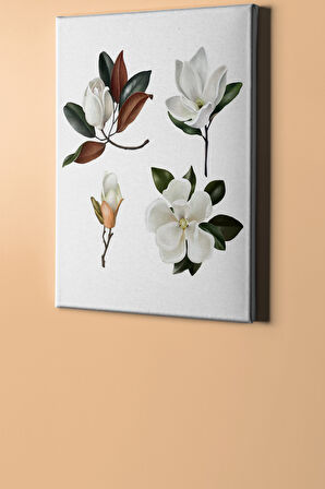 Sayılarla Boyama Seti Kasnaklı Beyaz Çiçekler 60 X 75 Cm