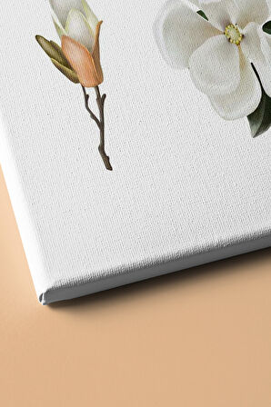 Sayılarla Boyama Seti Kasnaklı Beyaz Çiçekler 60 X 75 Cm