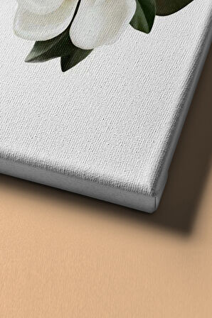 Sayılarla Boyama Seti Kasnaklı Beyaz Çiçekler 60 X 75 Cm