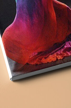 Sayılarla Boyama Seti Kasnaklı Dans Eden Gökkuşağı 60 X 75 Cm