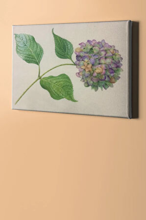 Sayılarla Boyama Seti Kasnaklı Kelebek Çalısı 40 X 50 Cm