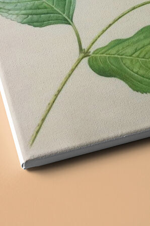 Sayılarla Boyama Seti Kasnaklı Kelebek Çalısı 40 X 50 Cm