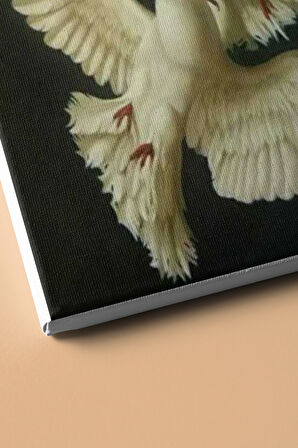 Sayılarla Boyama Seti Kasnaklı Çifte Kumrular 40 X 50 Cm