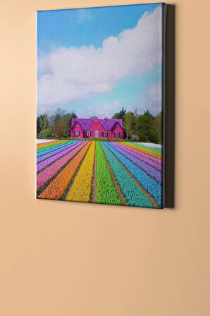 Sayılarla Boyama Seti Kasnaklı Gökkuşağı Tarlası 40 X 50 Cm